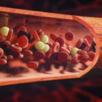 Les differents types de cellules sanguines