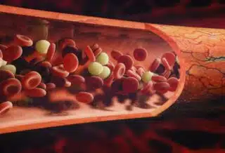 Les differents types de cellules sanguines