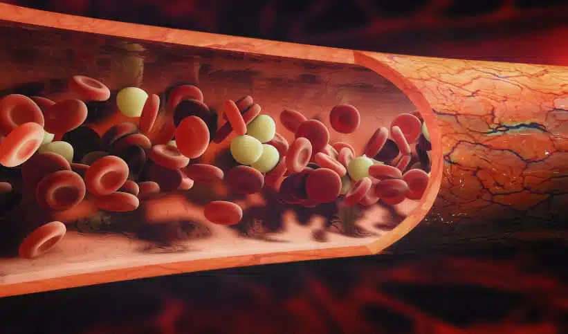 Les differents types de cellules sanguines
