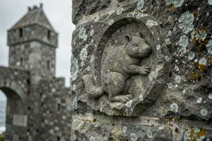 Motif d'hermine sculpté dans la pierre d'une fortification bretonne médiévale, recouvert de lichen