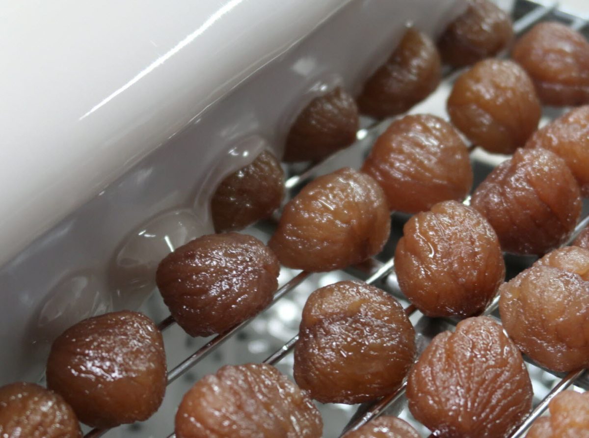 marrons glacés