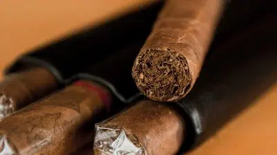 Quels sont les avantages d’une cave à cigare ?